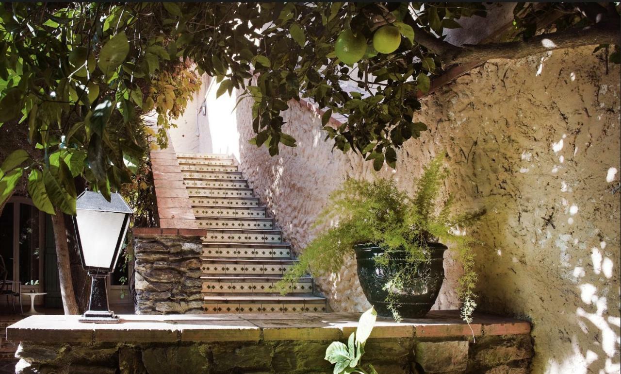Le Mas Des Citronniers Collioure Exterior photo