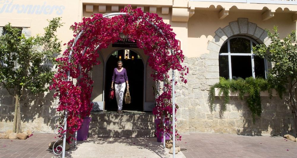 Le Mas Des Citronniers Collioure Exterior photo